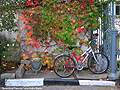 Осенний велосипед